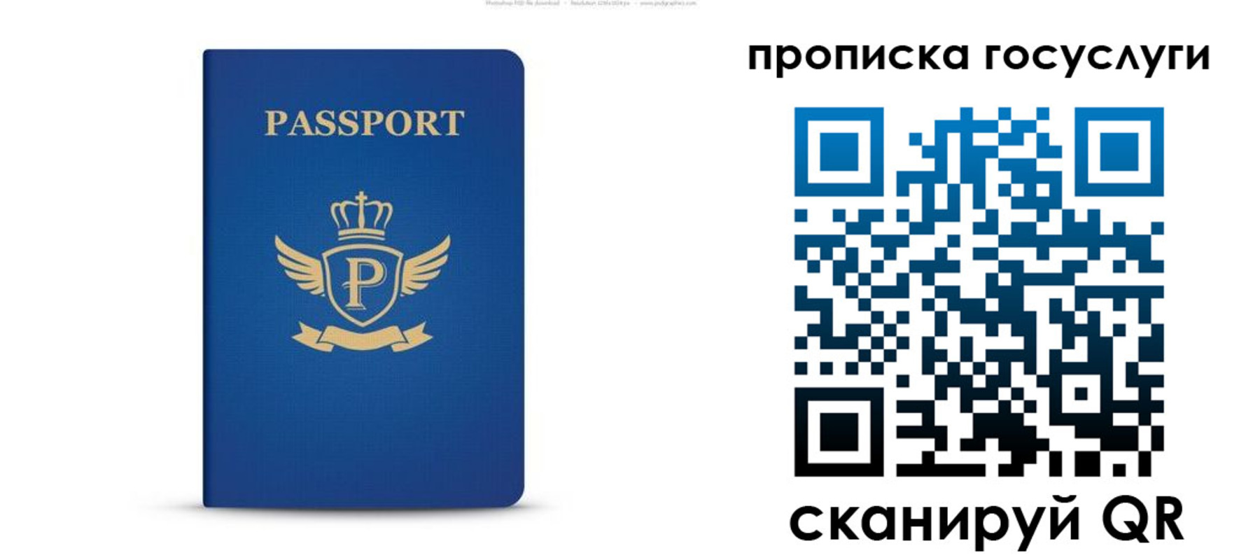 прописка для школы в Вытегре